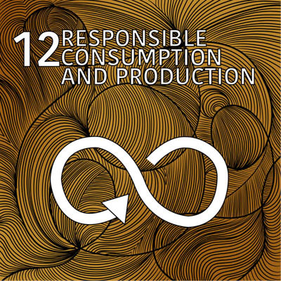 SDG 12: Ensure Sustainable Consumption And Production Patterns | SAICA